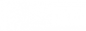 team brissette logo white